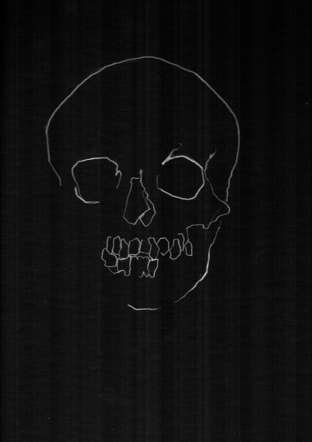 Skull Study 7 main image