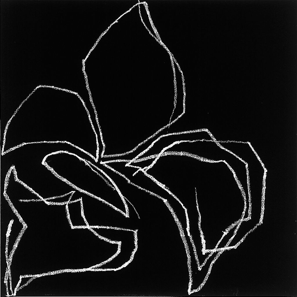 Untitled main image