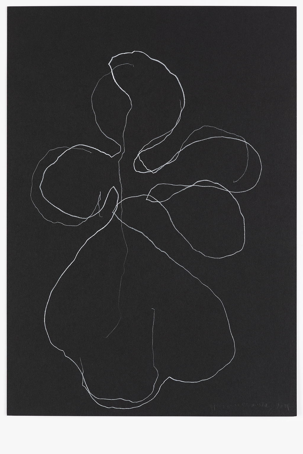 Night Orchid 56 main image