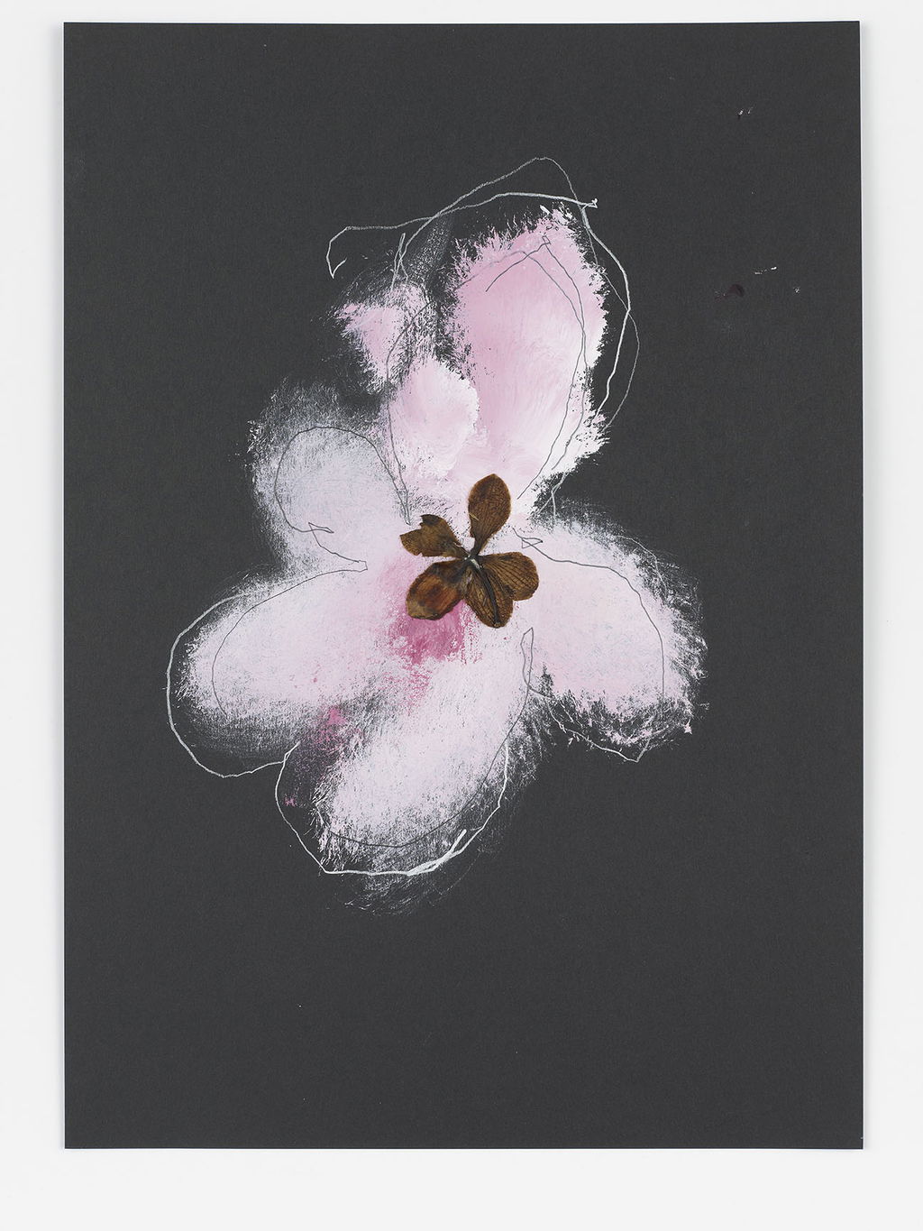 Night Orchid 168 main image