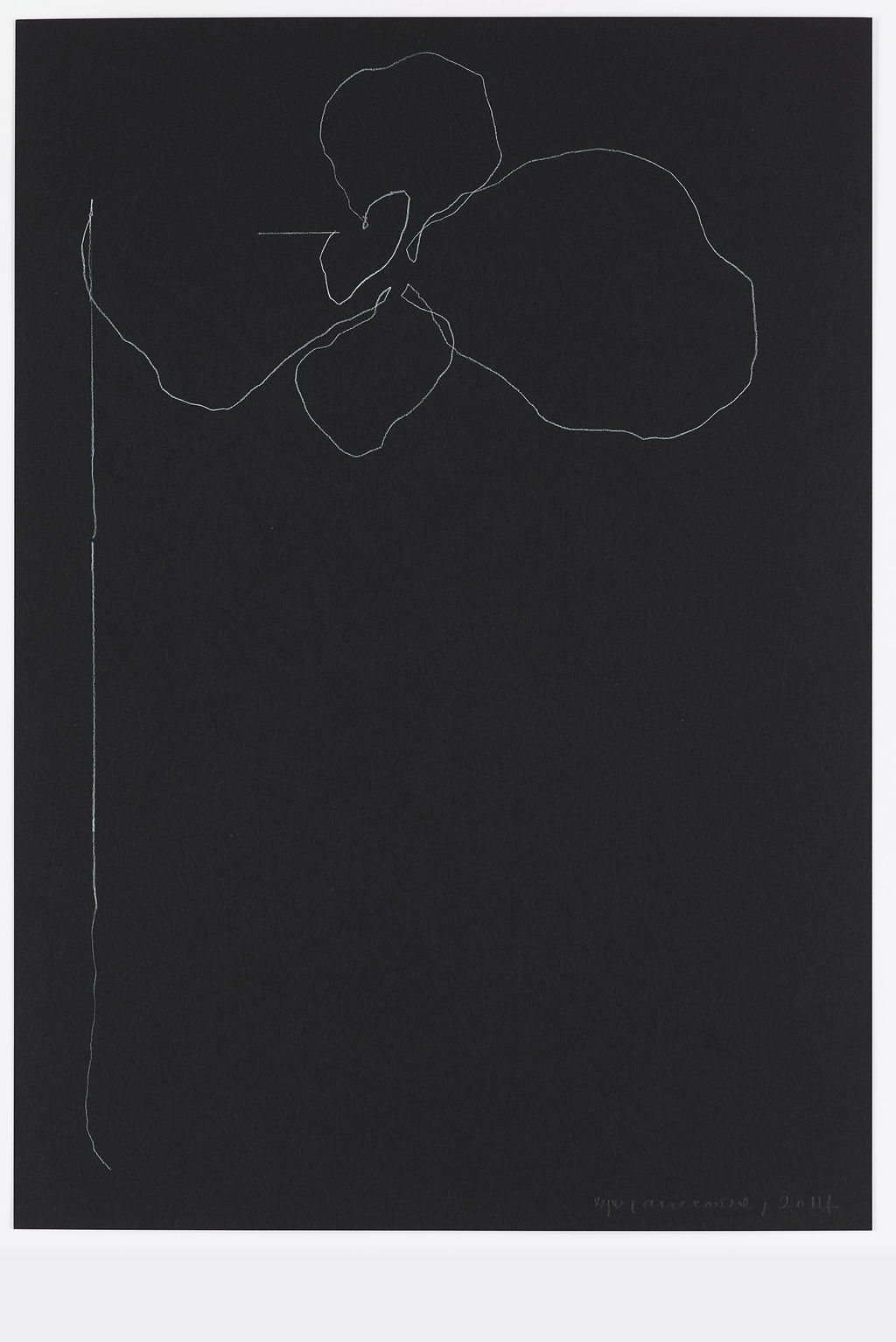 Night Orchid 61 main image