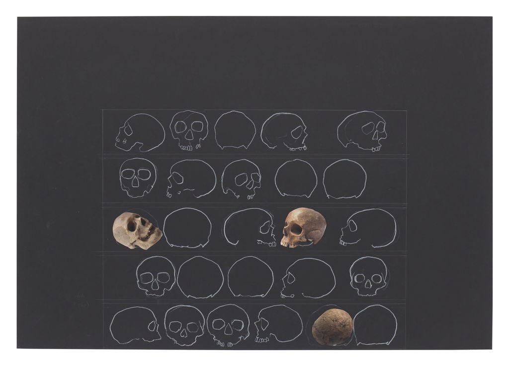 Preparatory skull drawings for Stroud Ossuary main image
