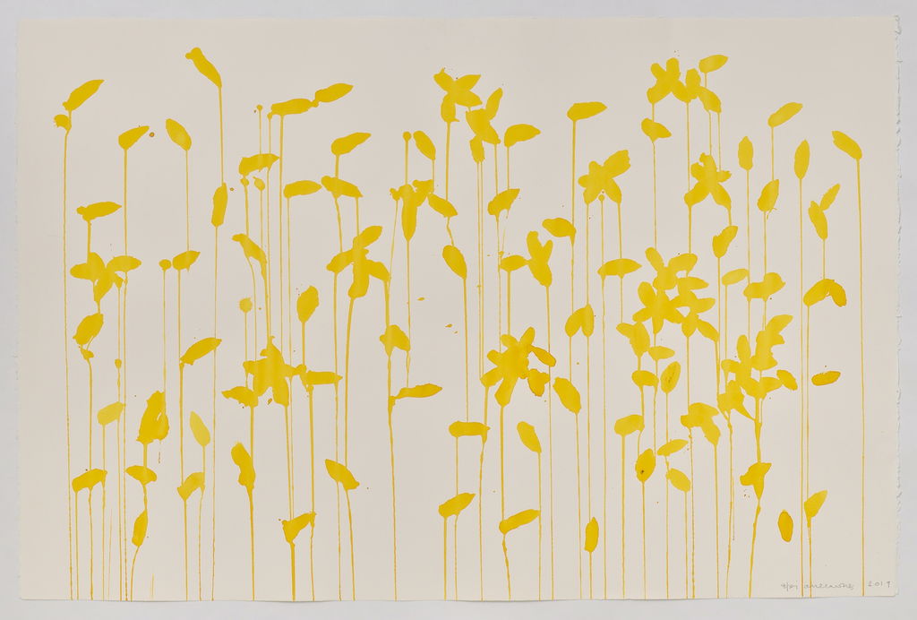Daffodils main image