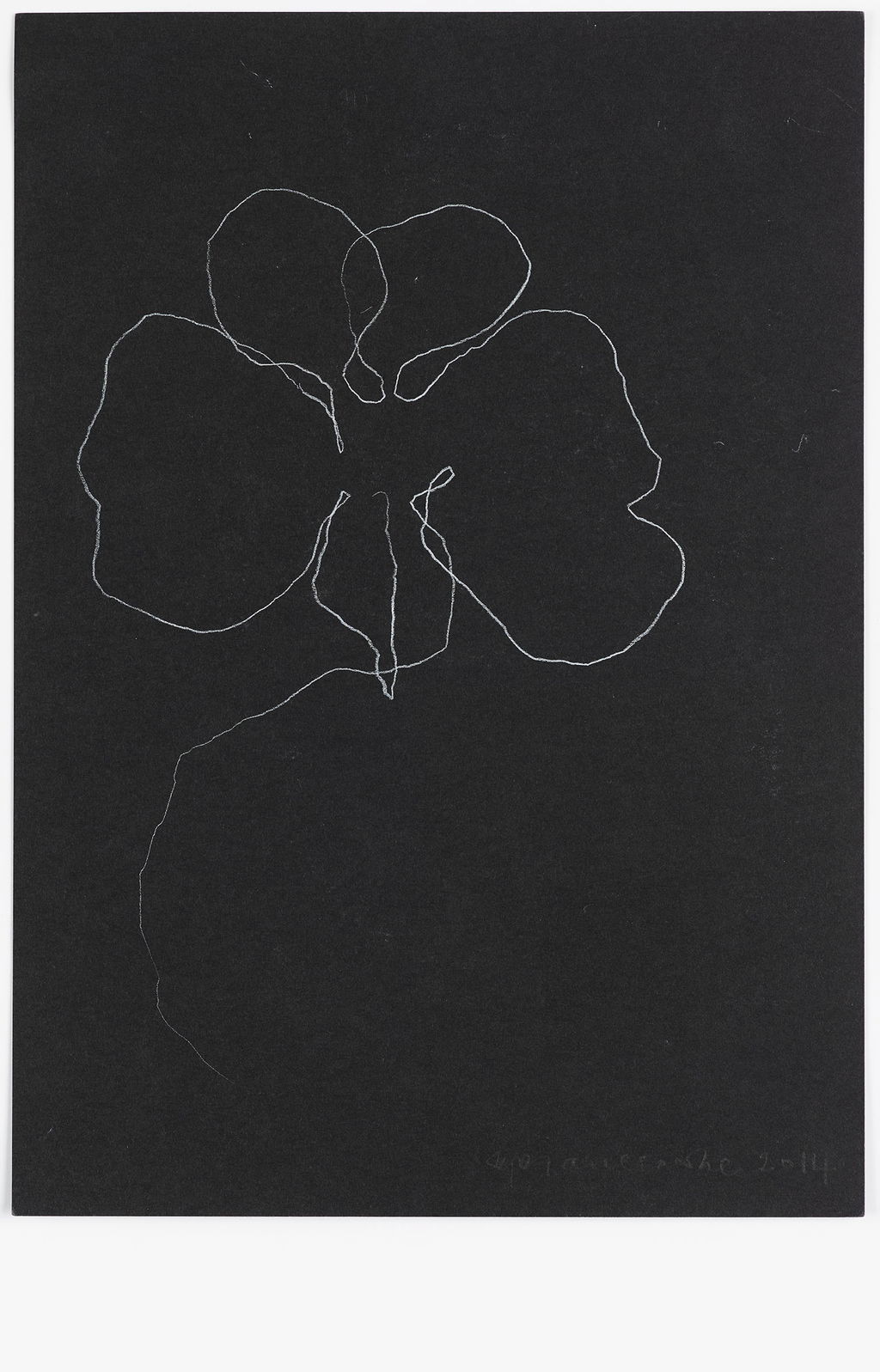 Night Orchid 64 main image