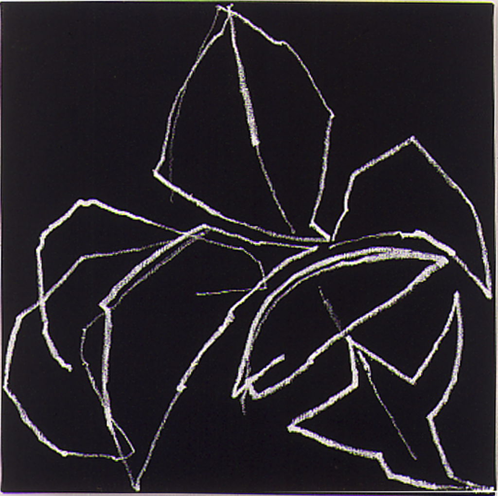 Untitled main image