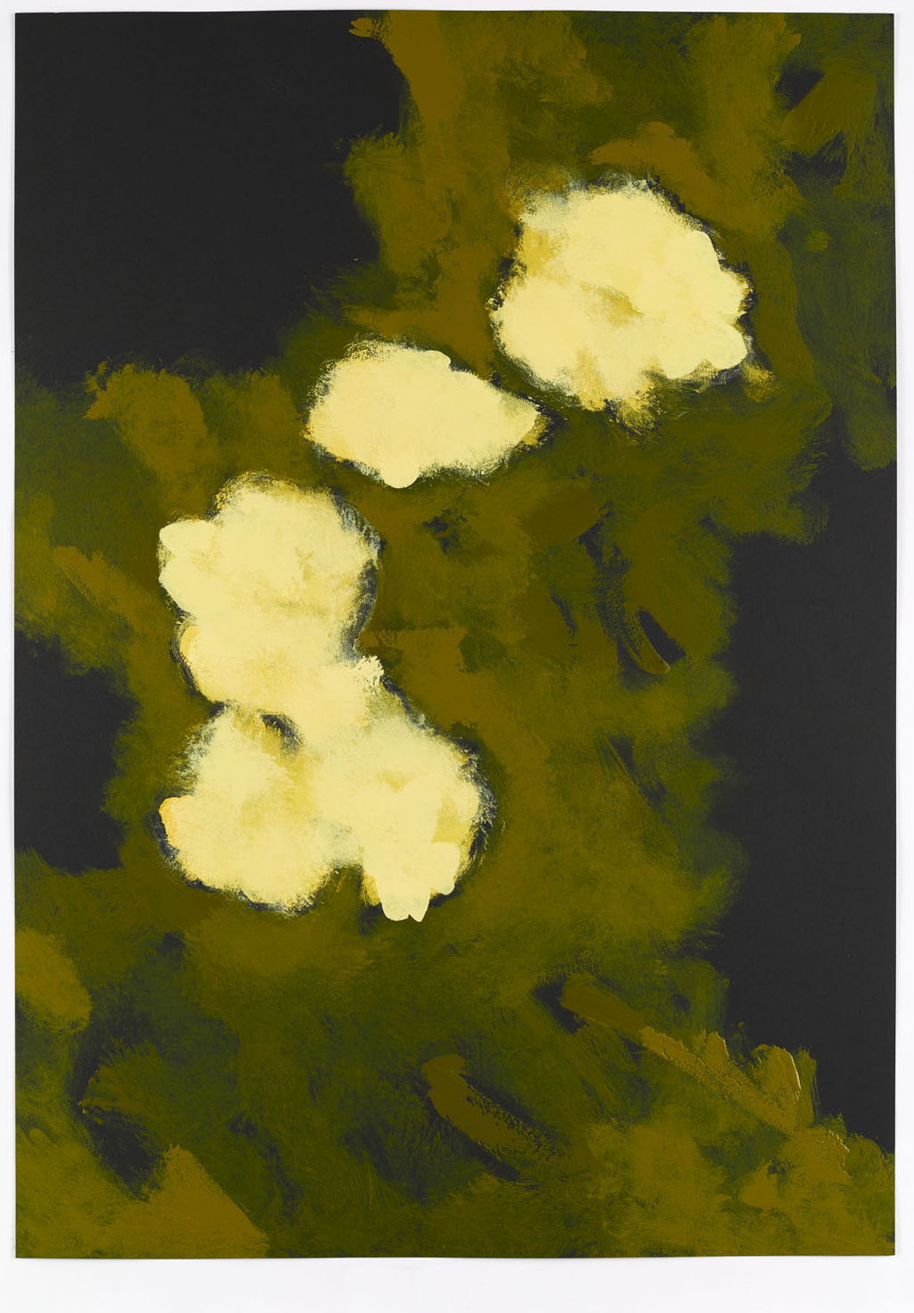 Primrose Cluster 21 main image