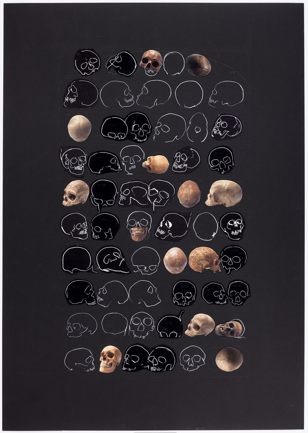 Preparatory skull drawings for Stroud Ossuary main image