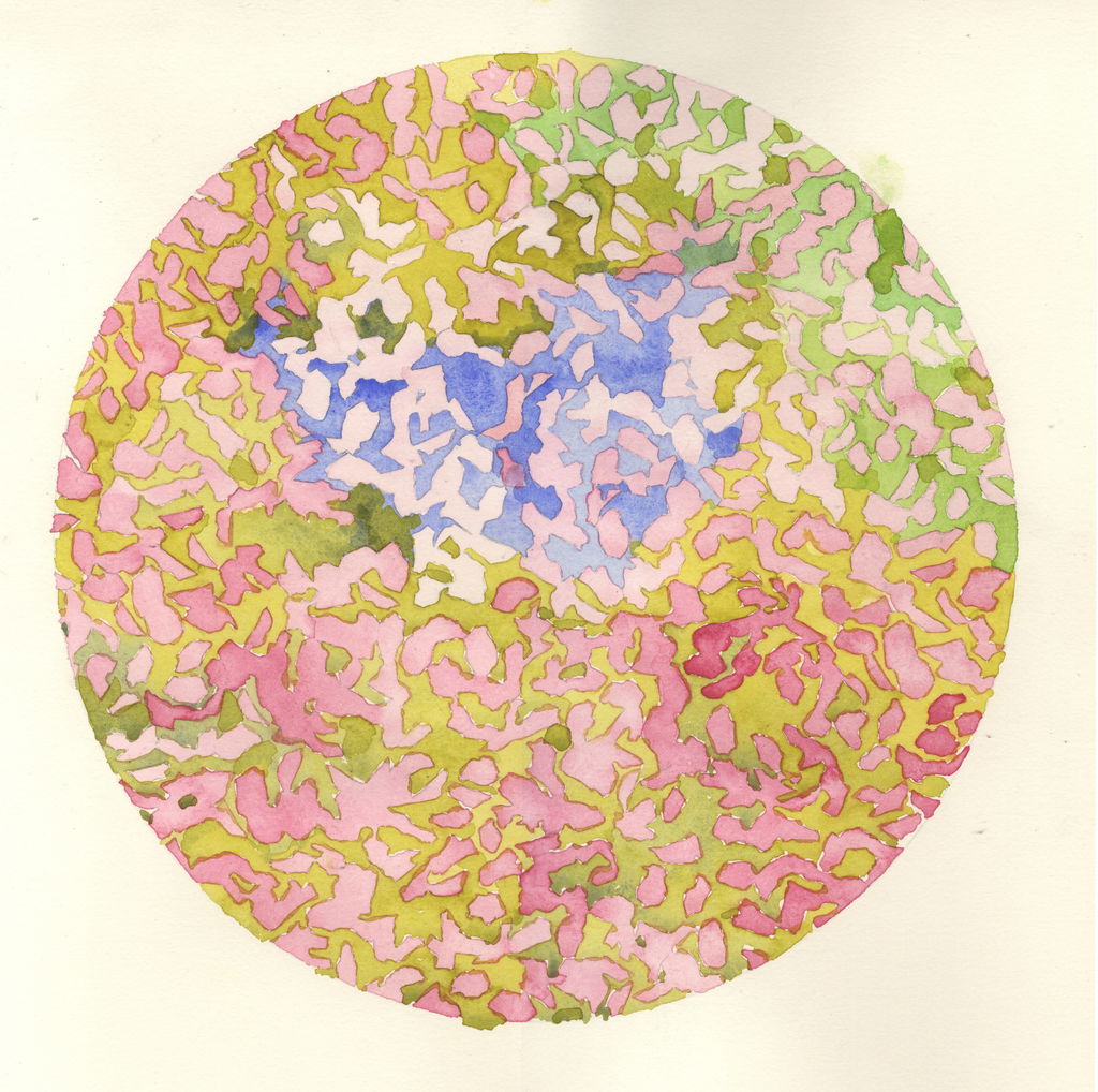 Study for Beaverbrook main image