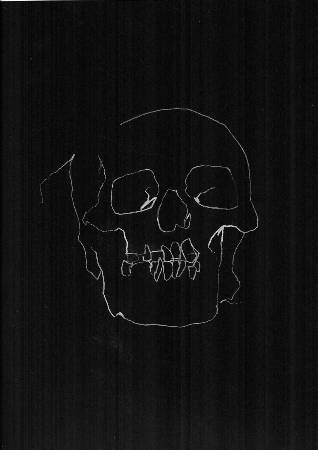 Skull Study 2 main image