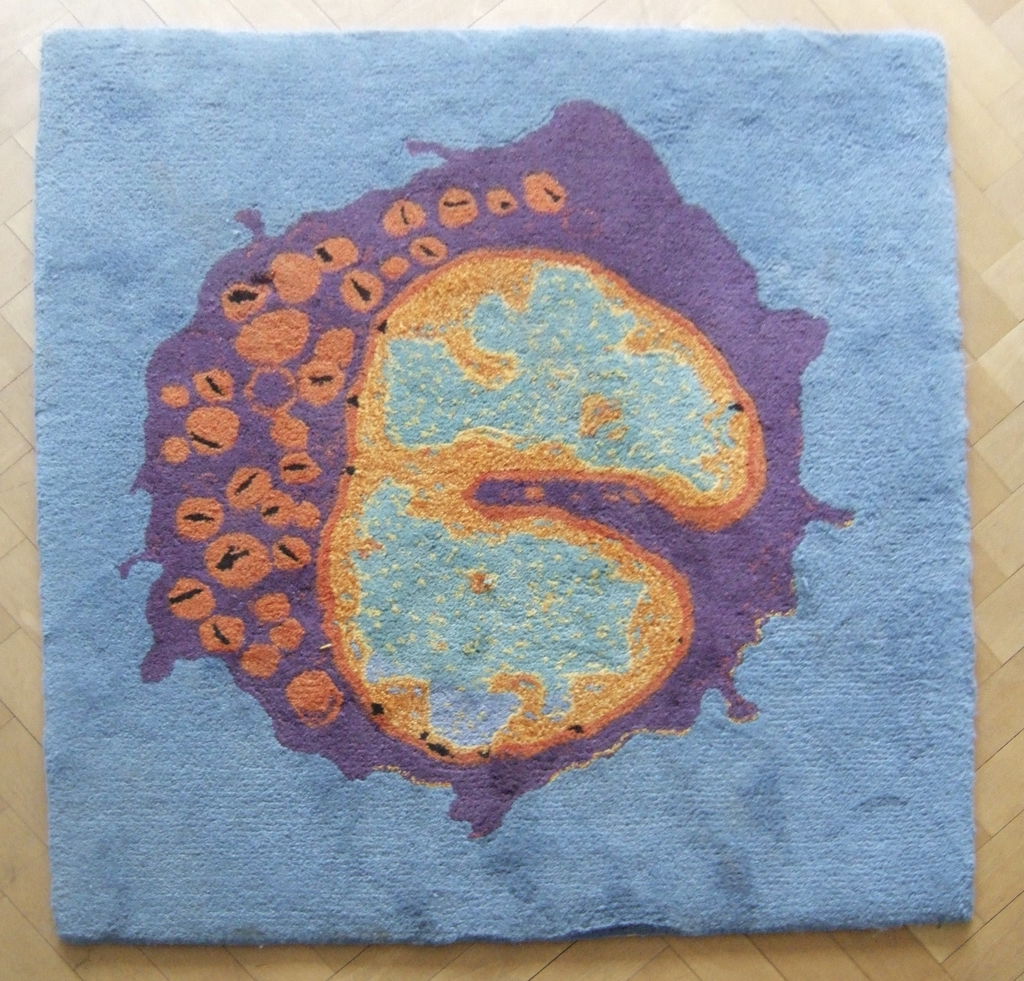 Pfizer Tapestry for Gabriel Mayer