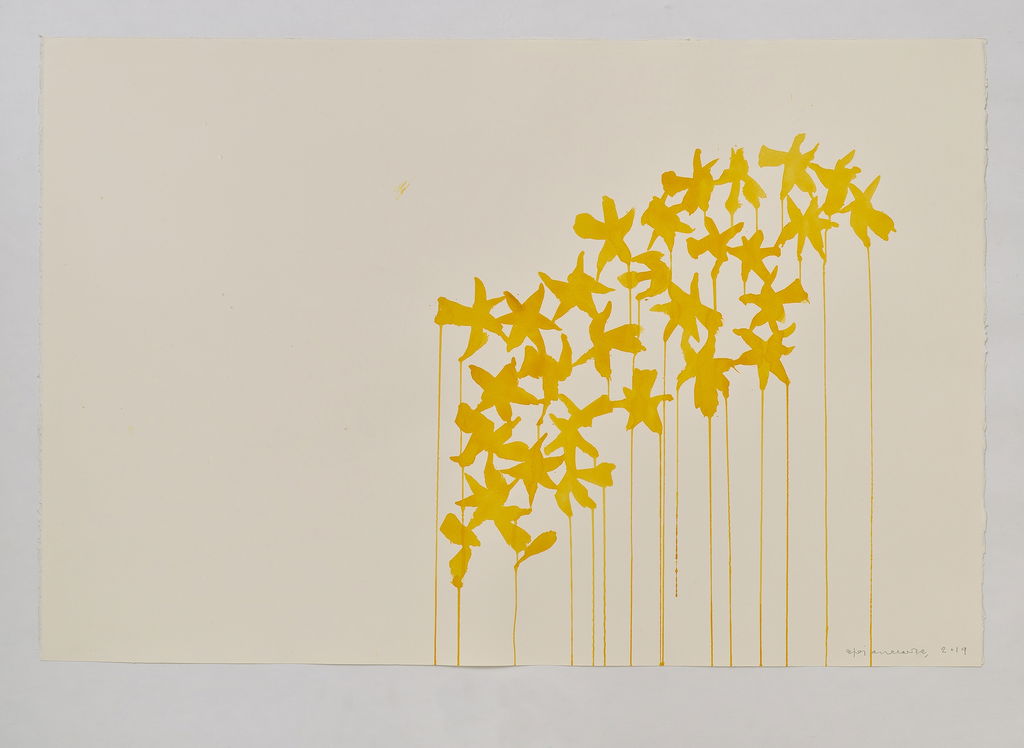 Daffodils main image