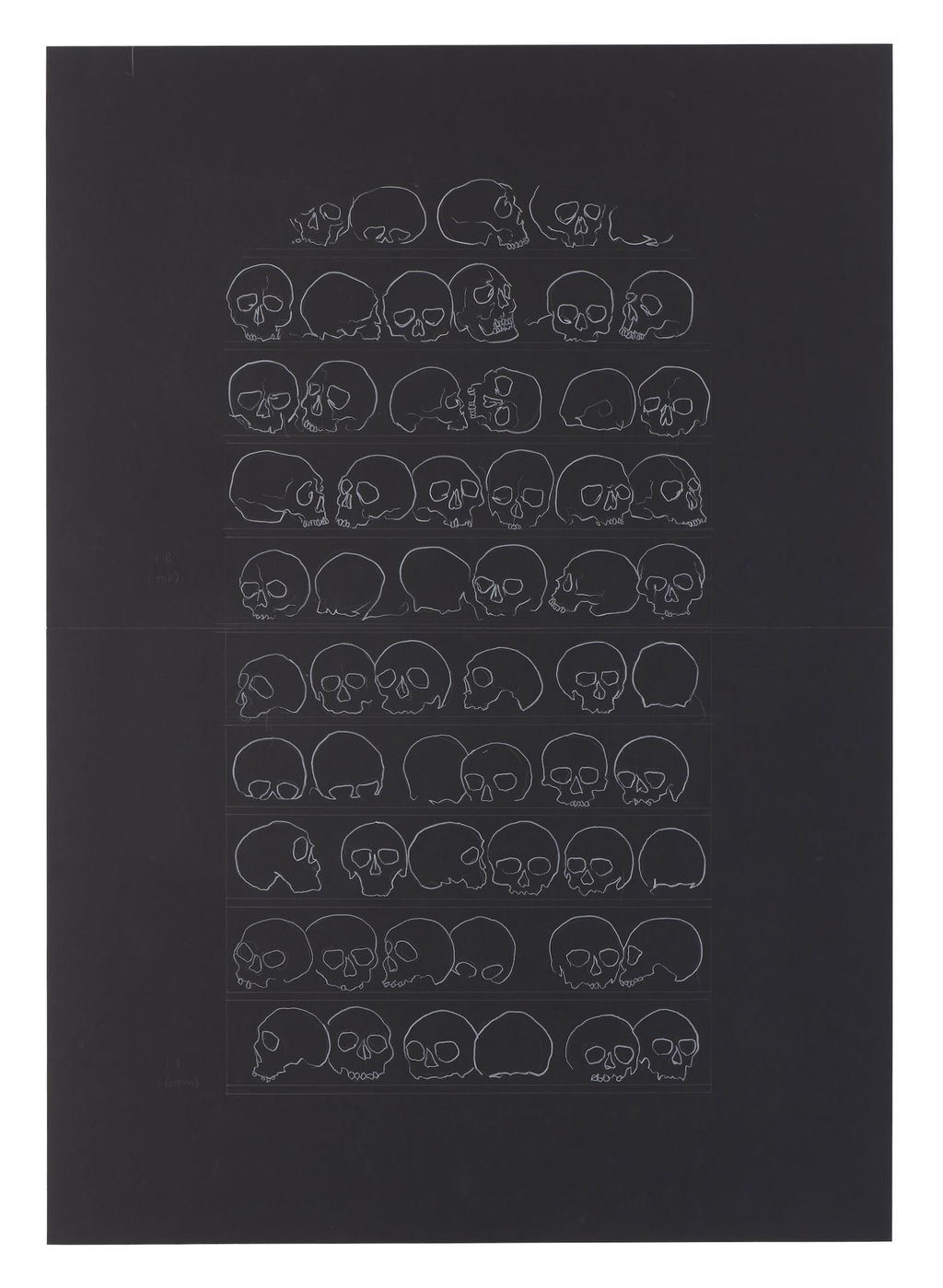 Preparatory skull drawings for Stroud Ossuary main image