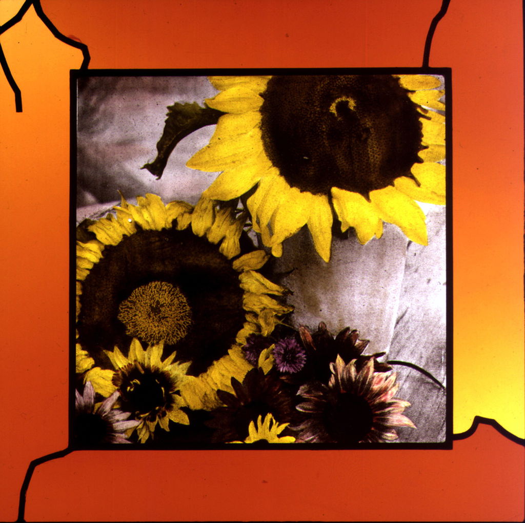  Sunflowers main image