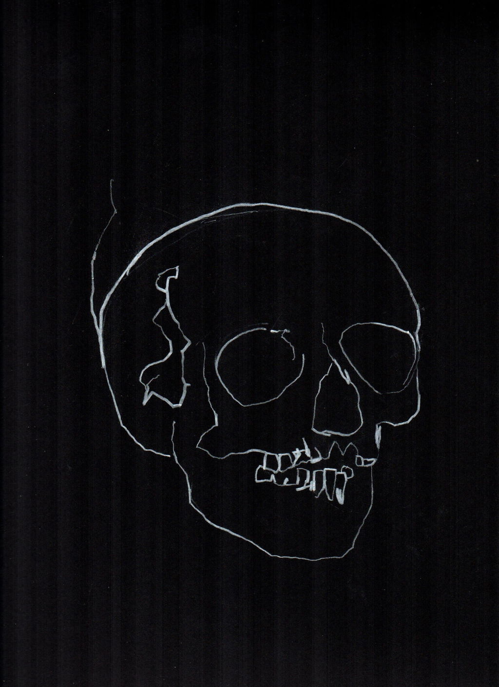 Skull Study 13 main image