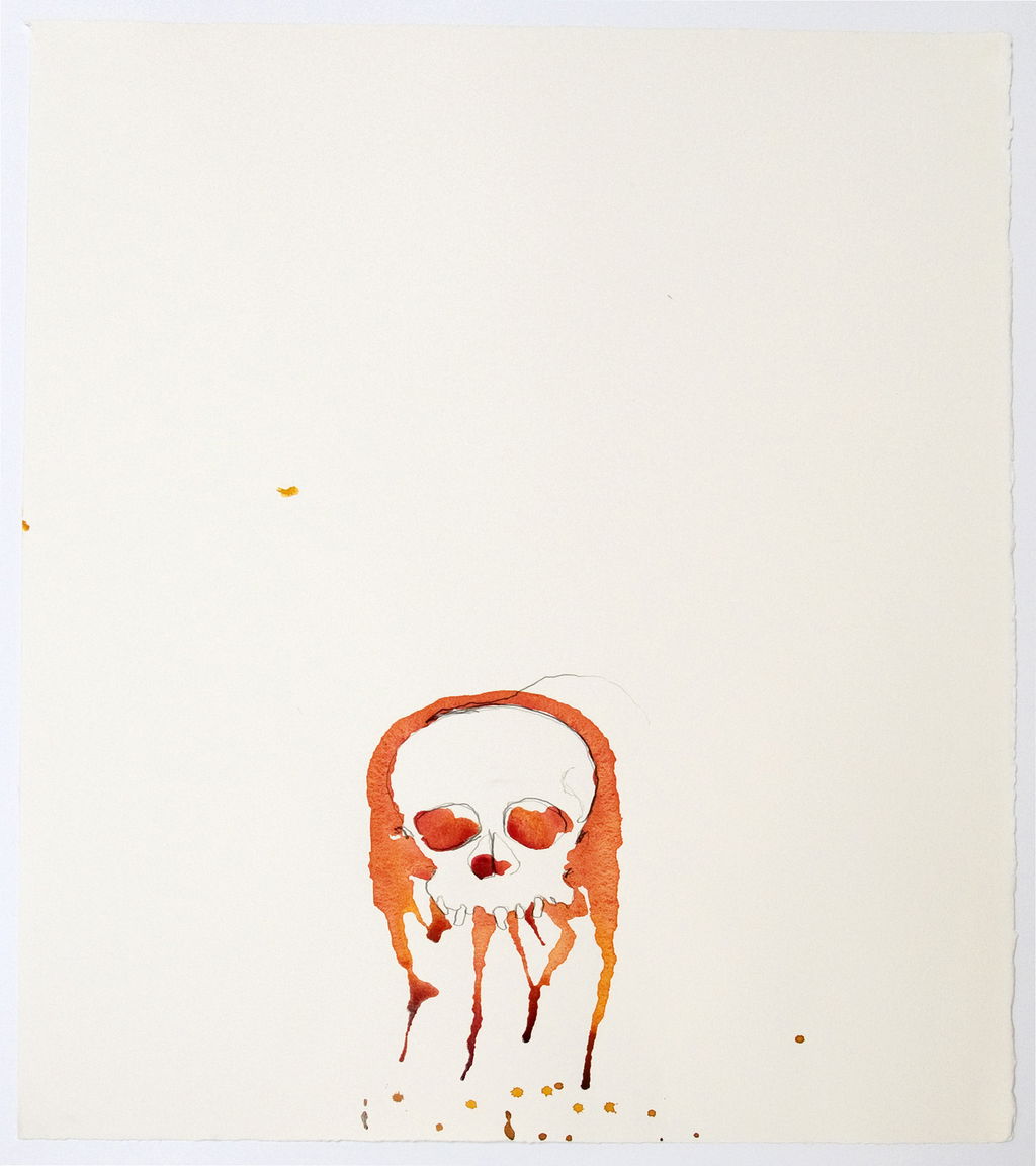 Study for Skull 2 main image