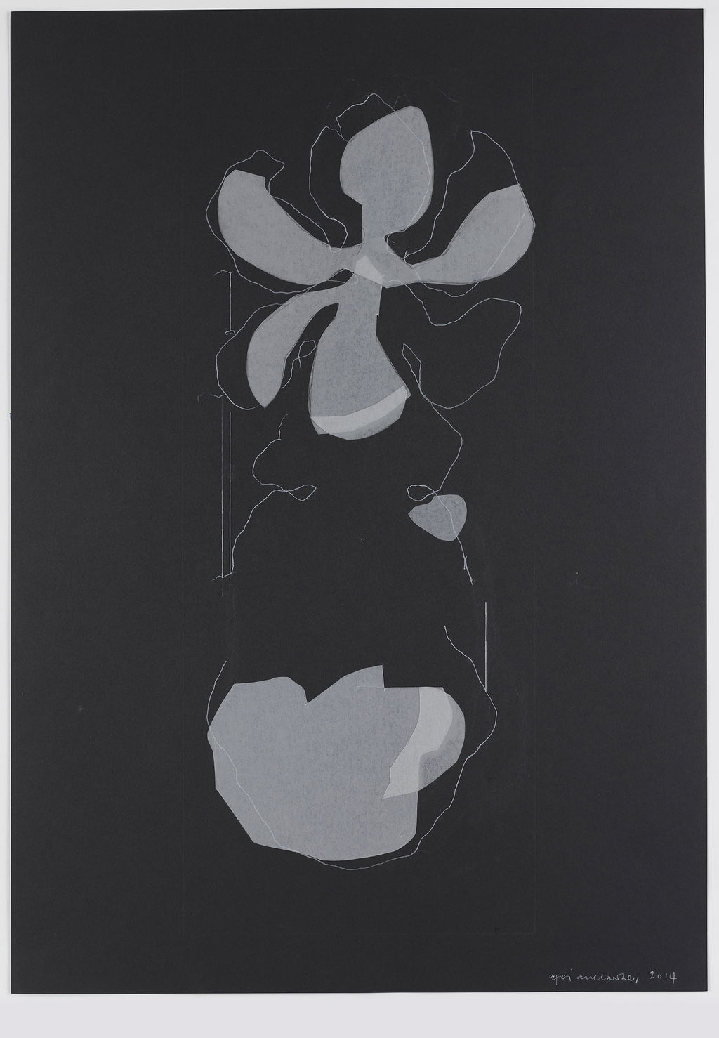 Night Orchid 211 main image