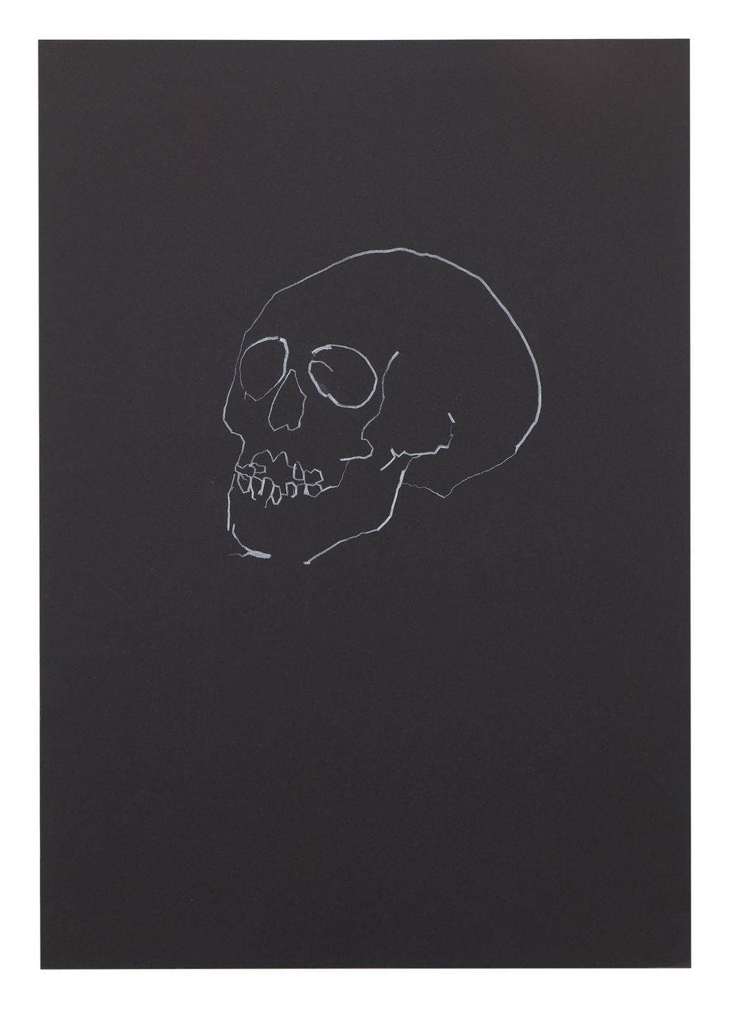 Skull Study 28 main image