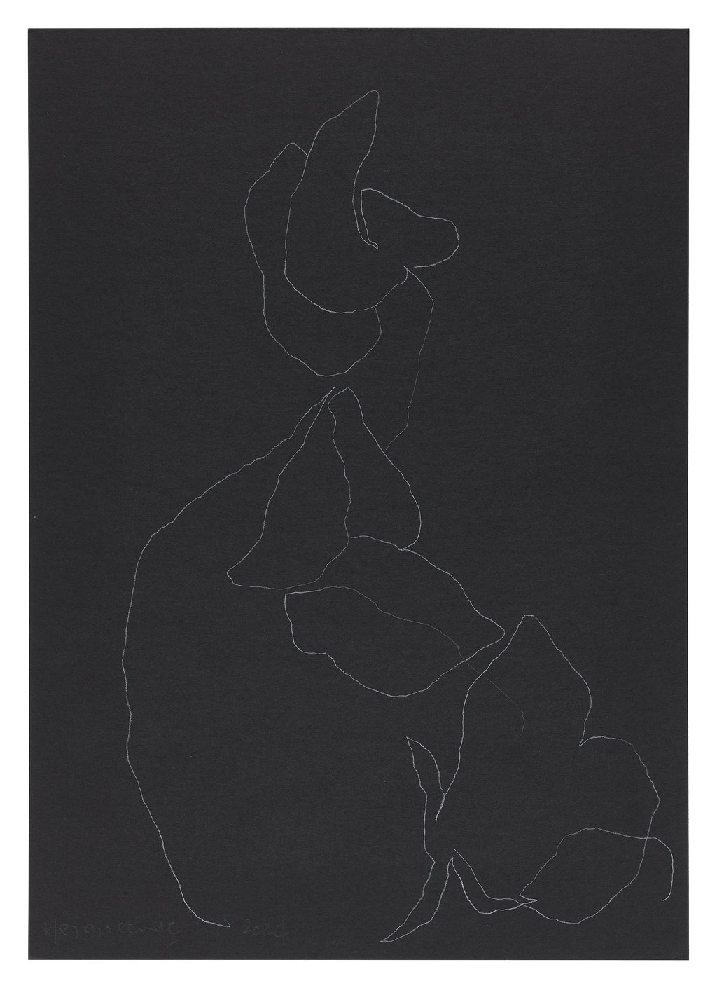 Untitled main image