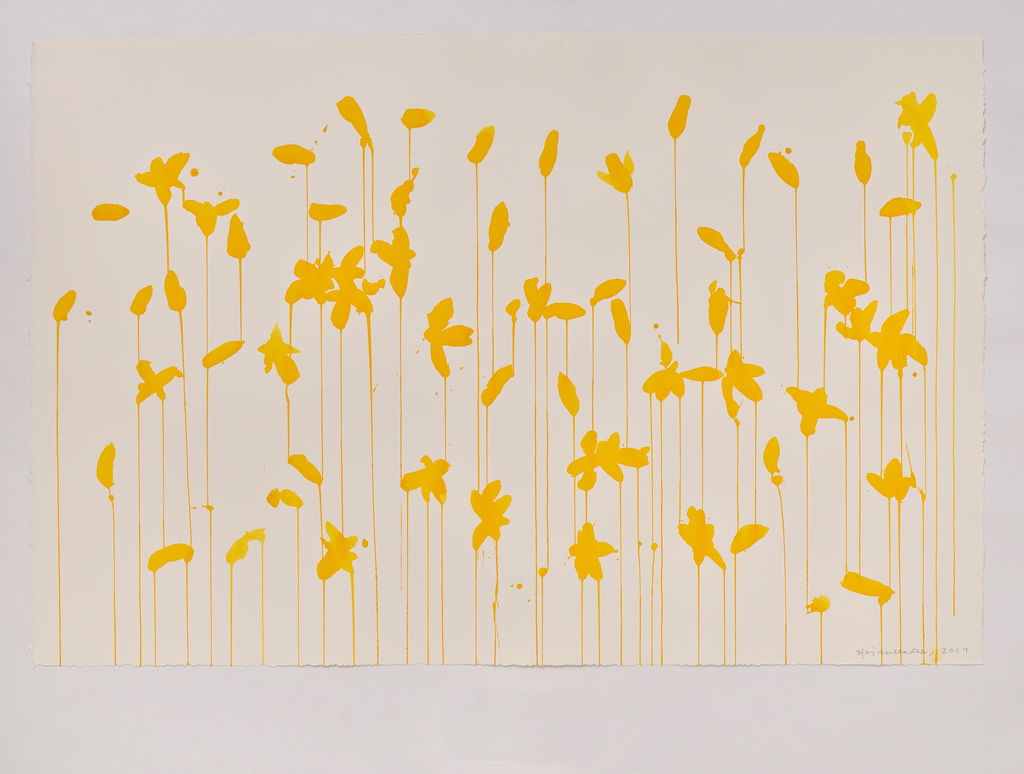 Daffodils main image