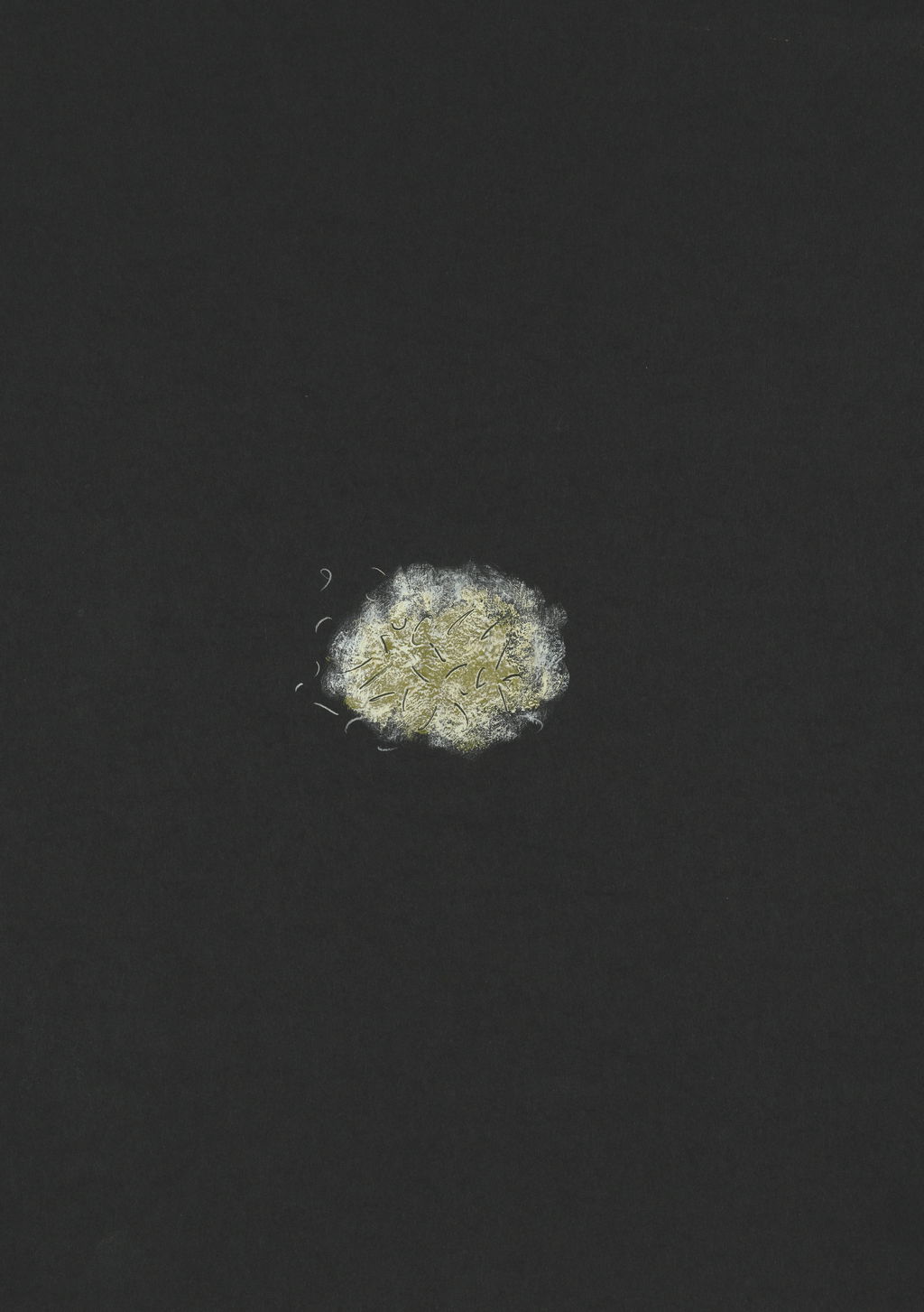 Untitled main image