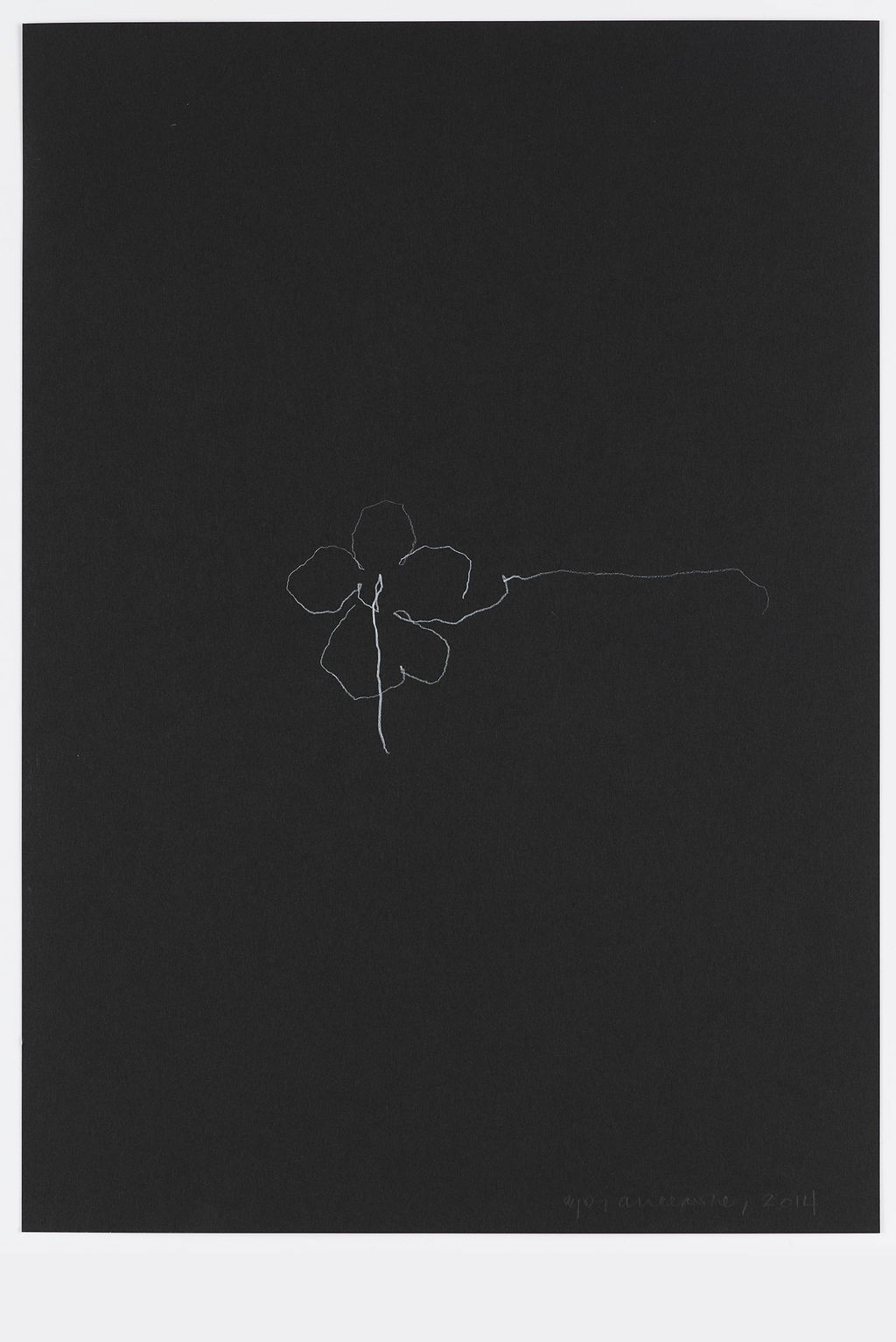 Night Orchid 62 main image
