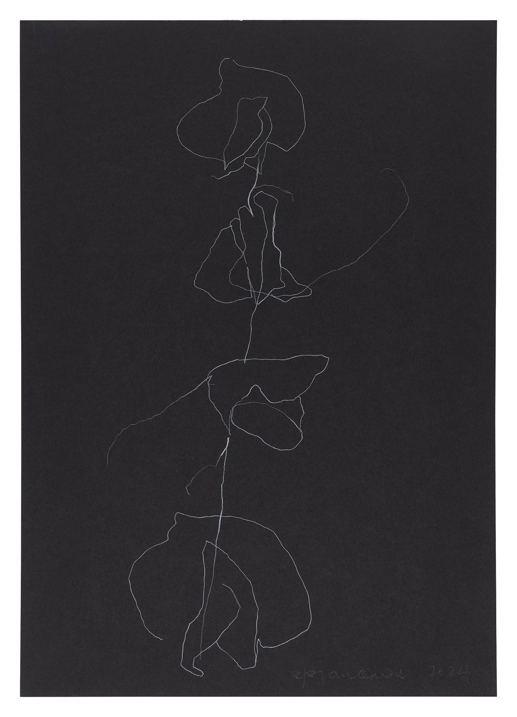 Untitled main image