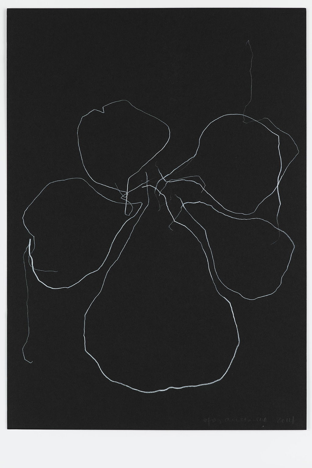 Night Orchid 54 main image