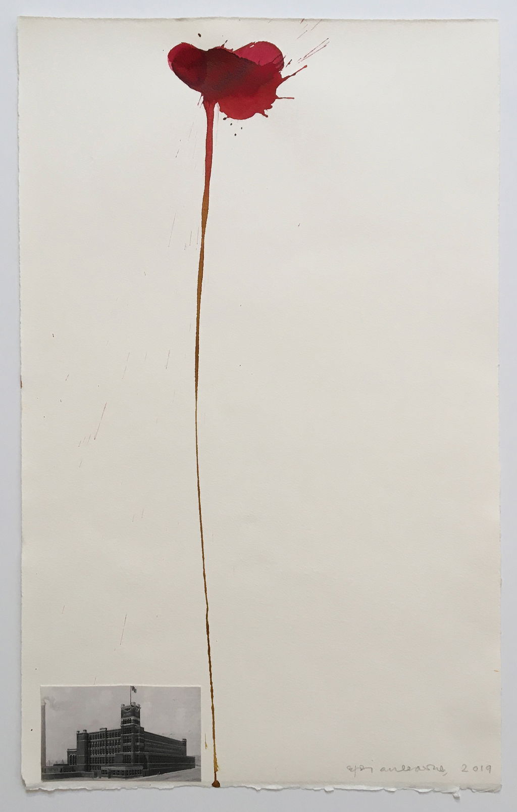 Biographical Poppies main image