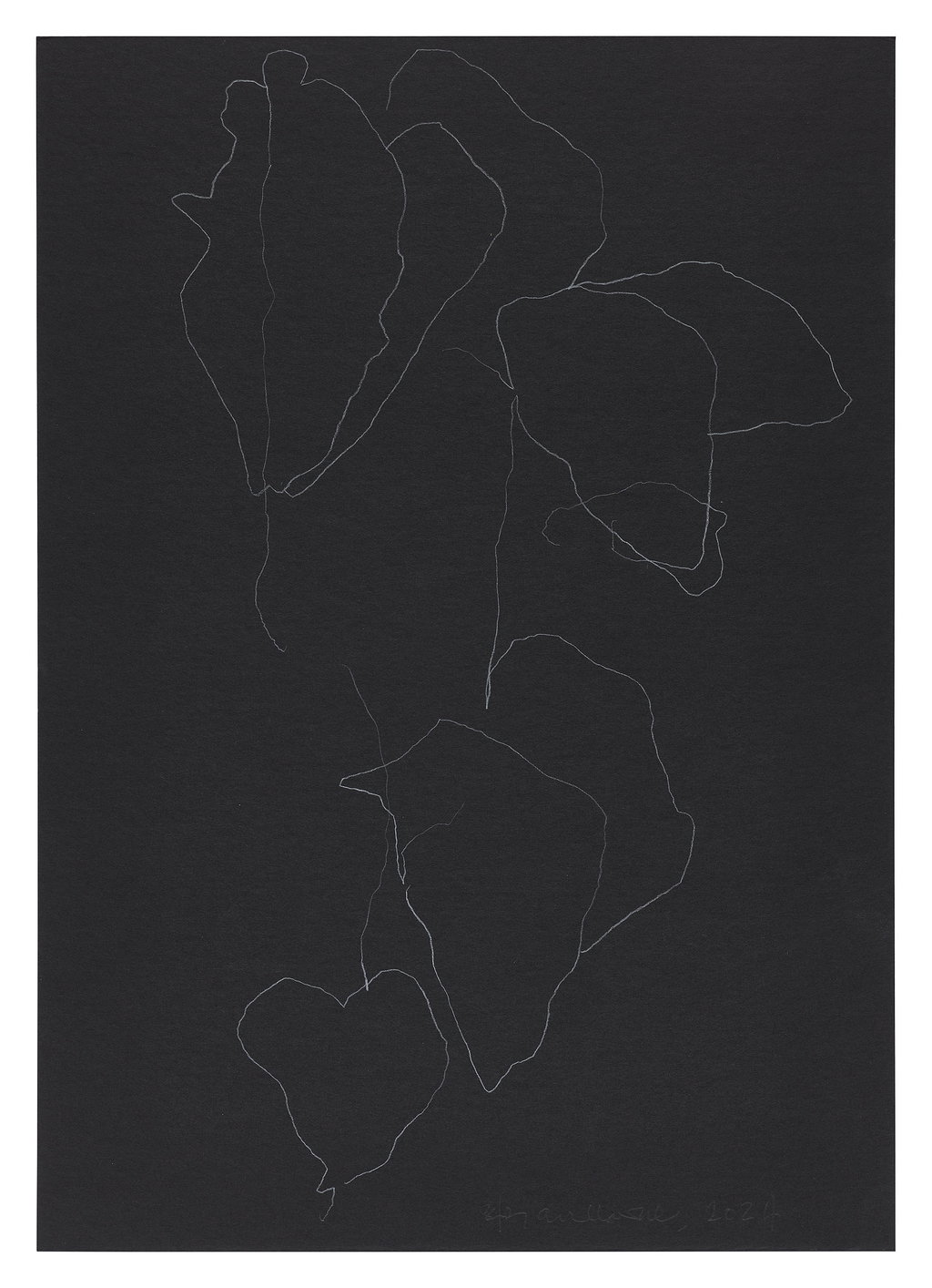 Untitled main image