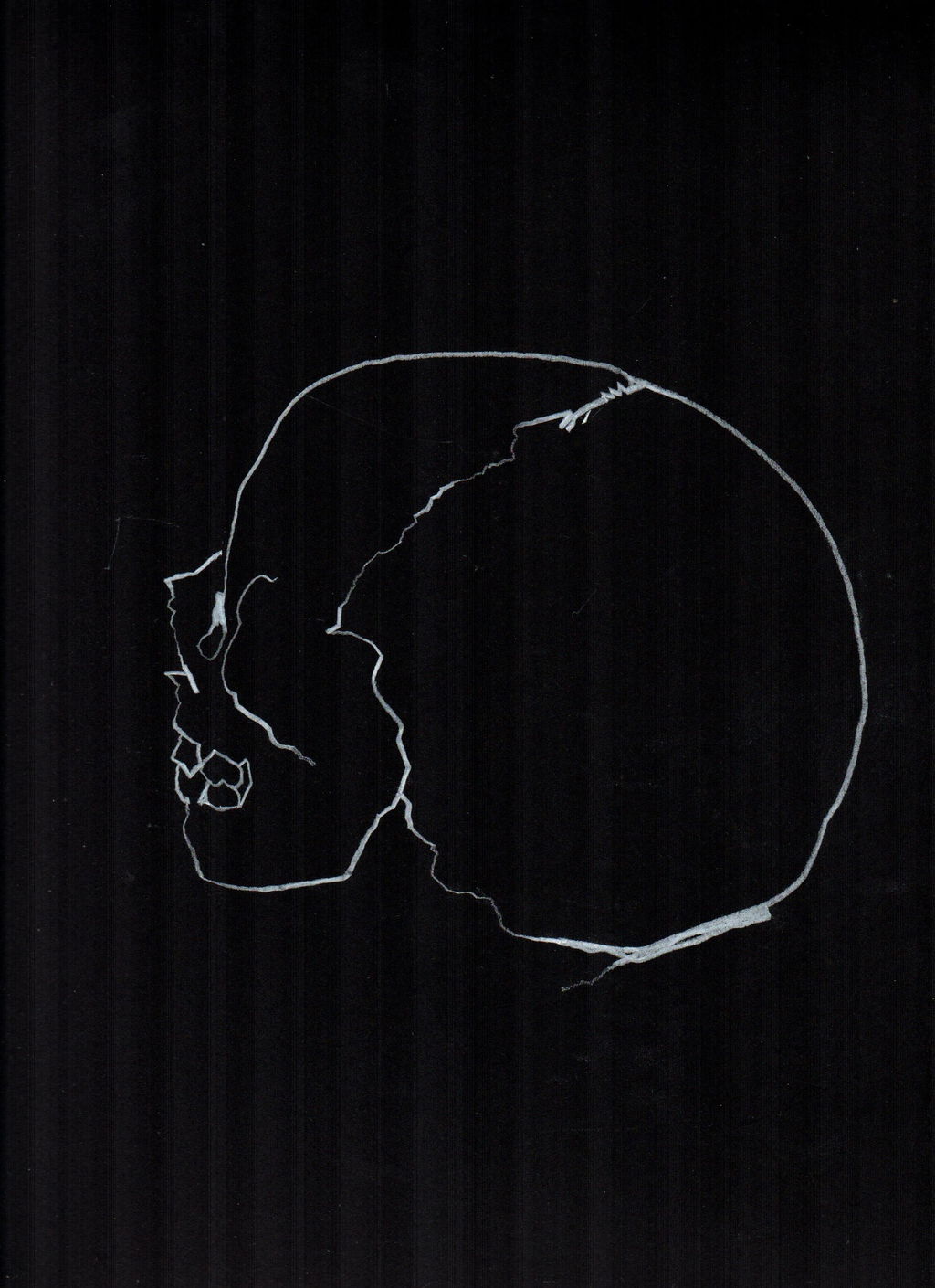 Skull Study 14 main image