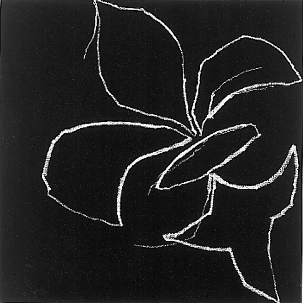 Untitled main image