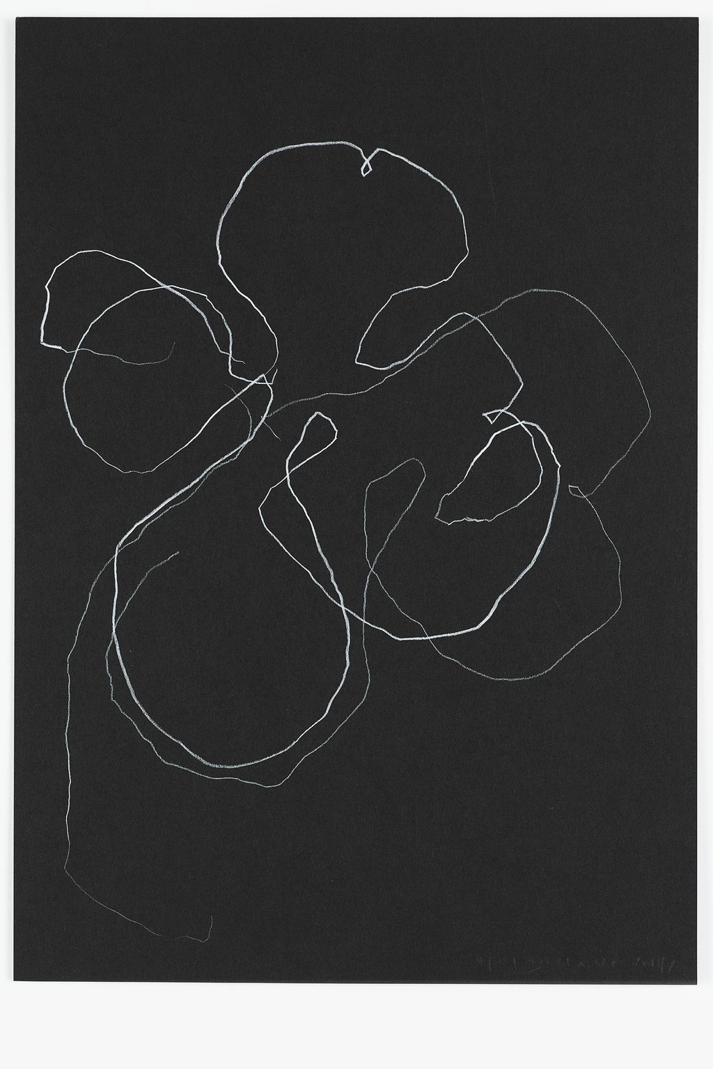 Night Orchid 57 main image