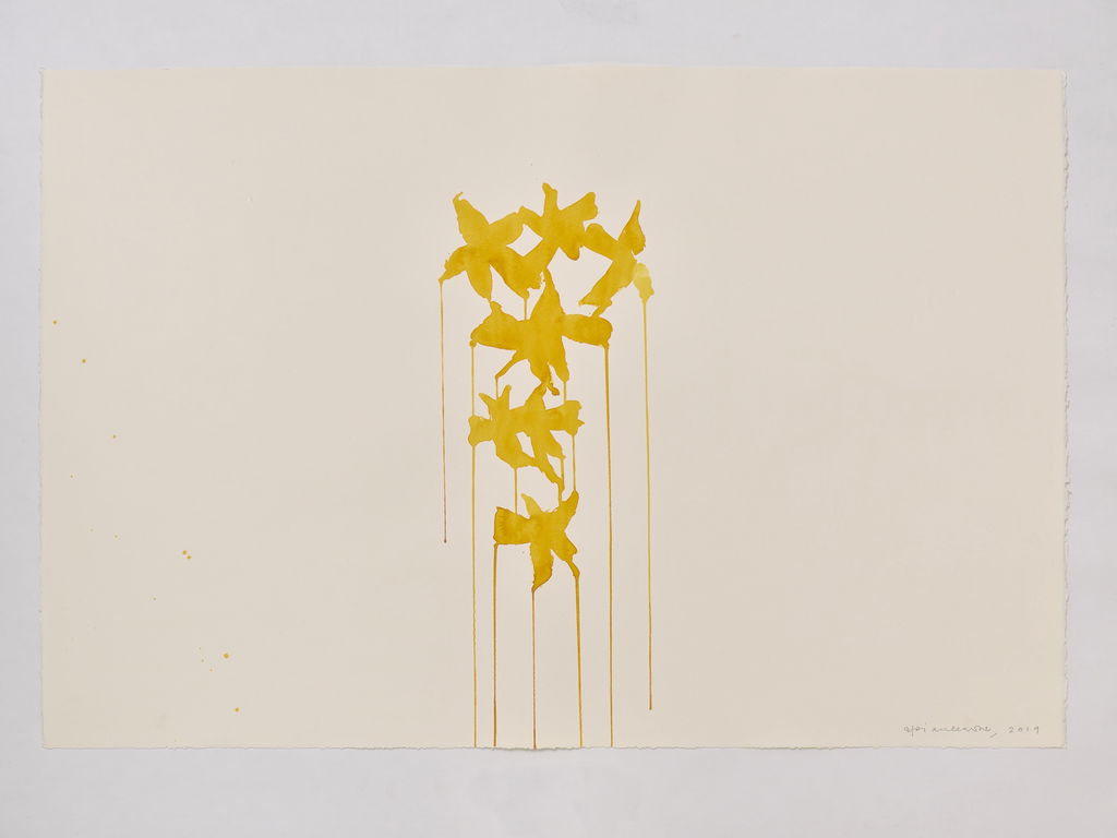 Daffodils main image