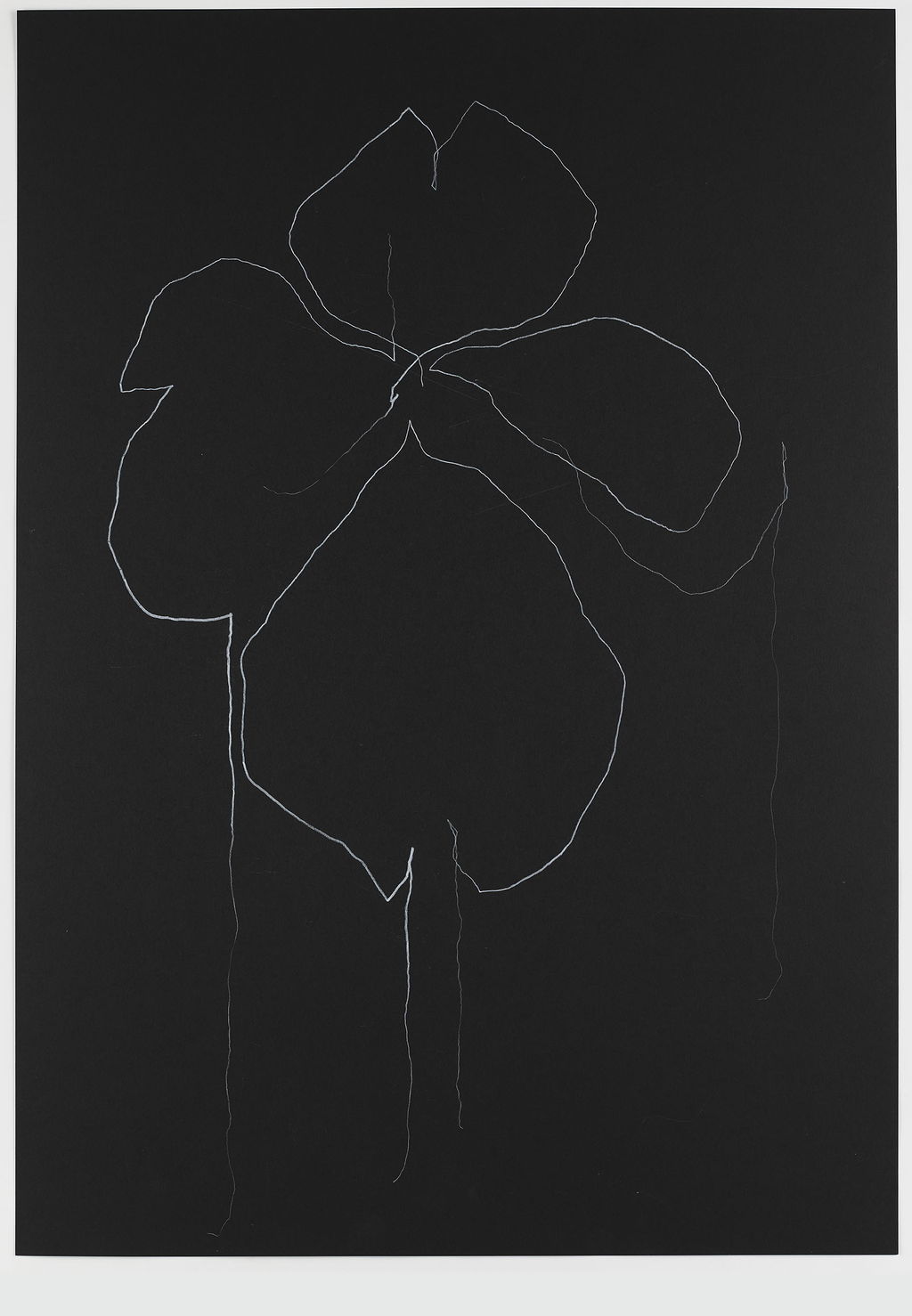 Night Orchid 101 main image