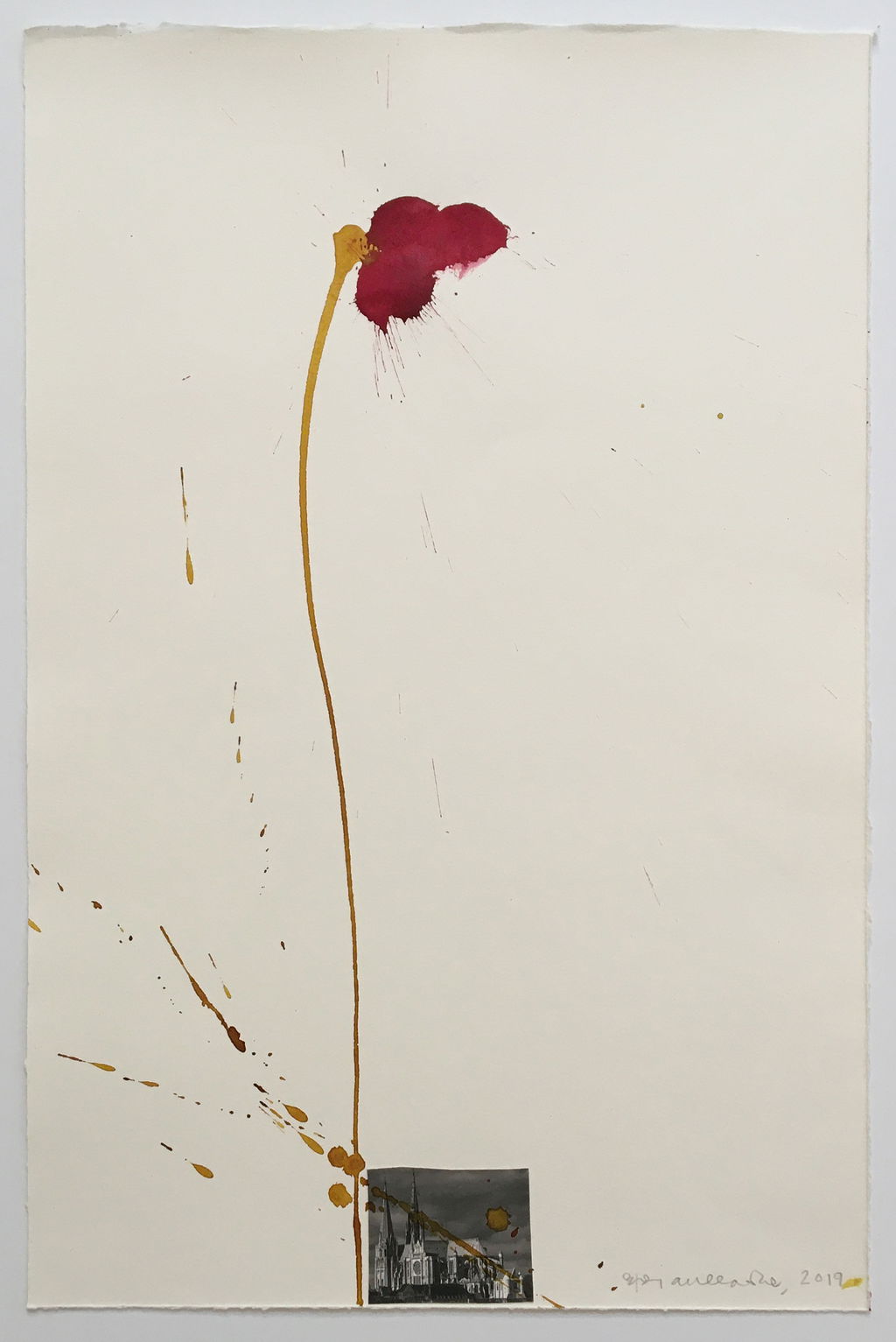 Biographical Poppies main image