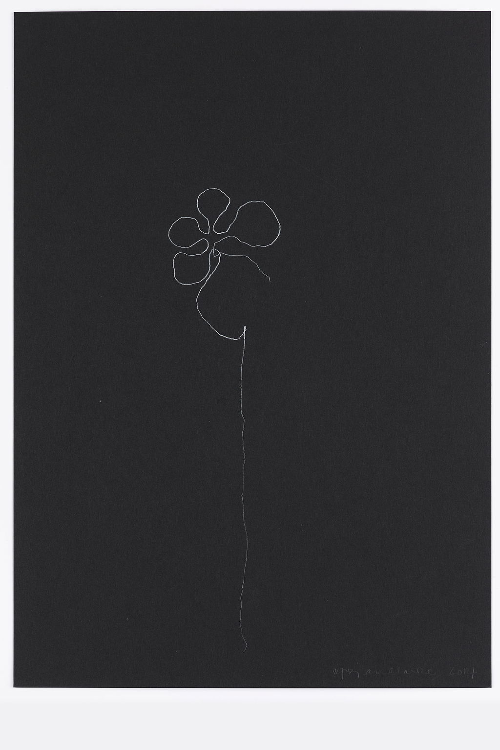 Night Orchid 15 main image