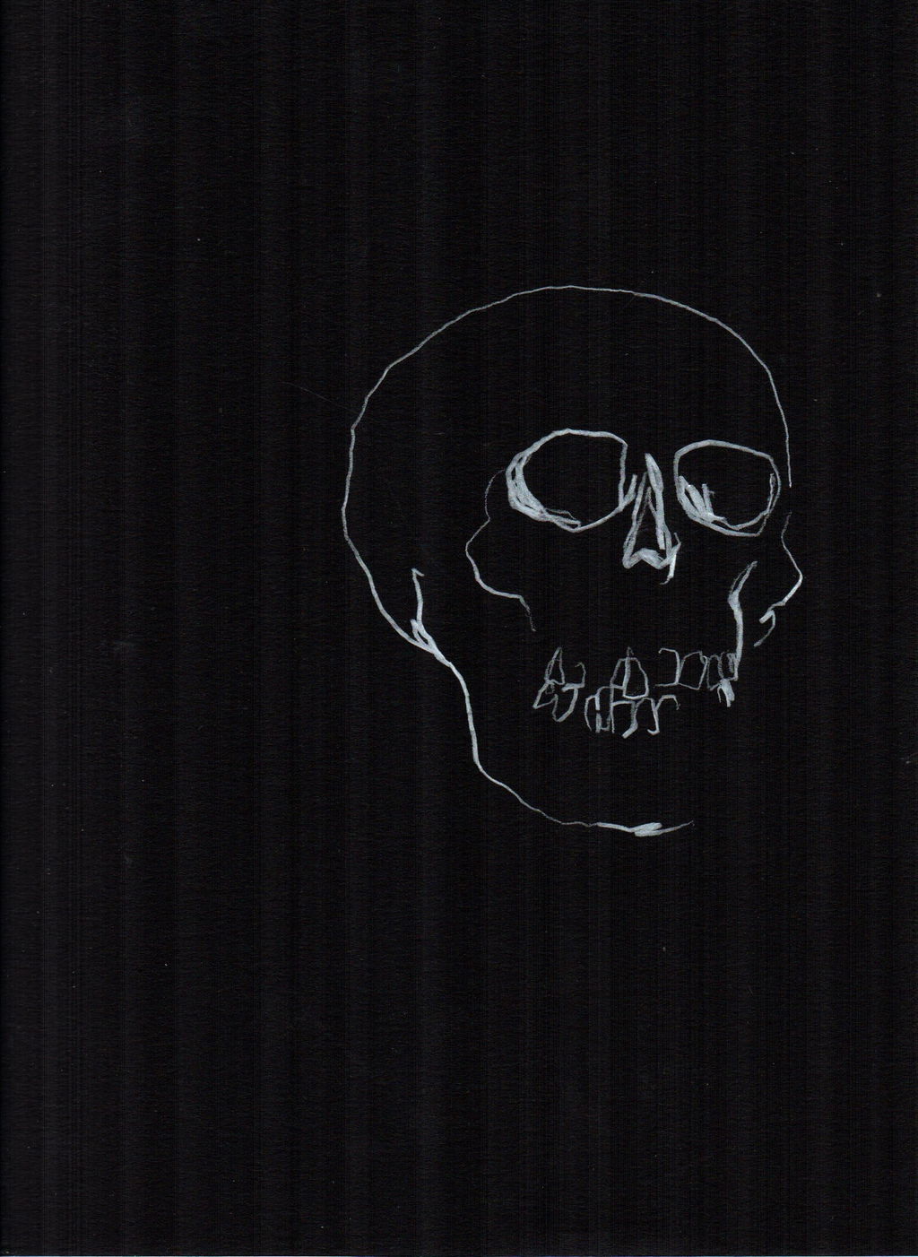 Skull Study 17 main image