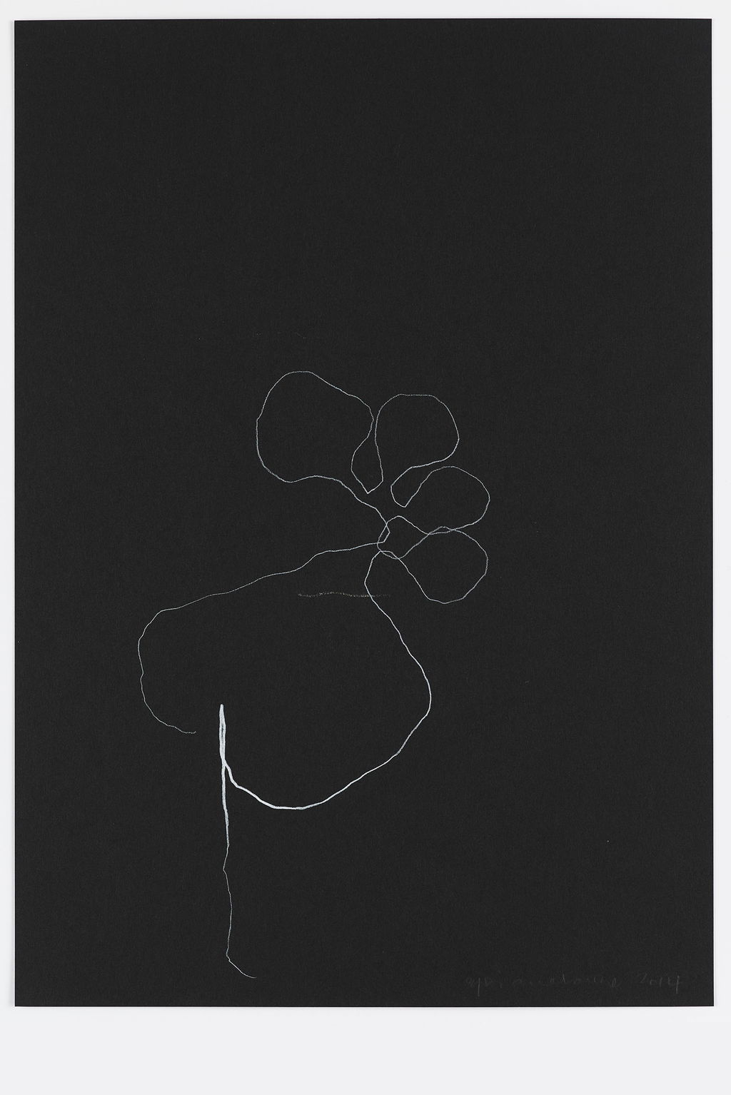 Night Orchid 17 main image