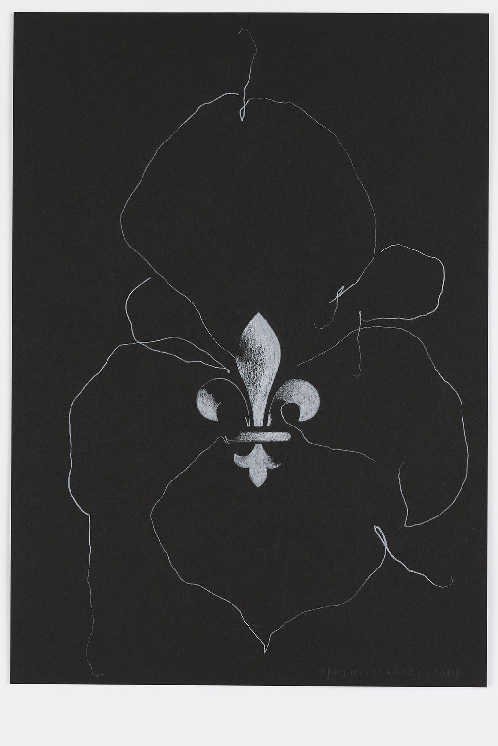 Night Orchid 80 main image
