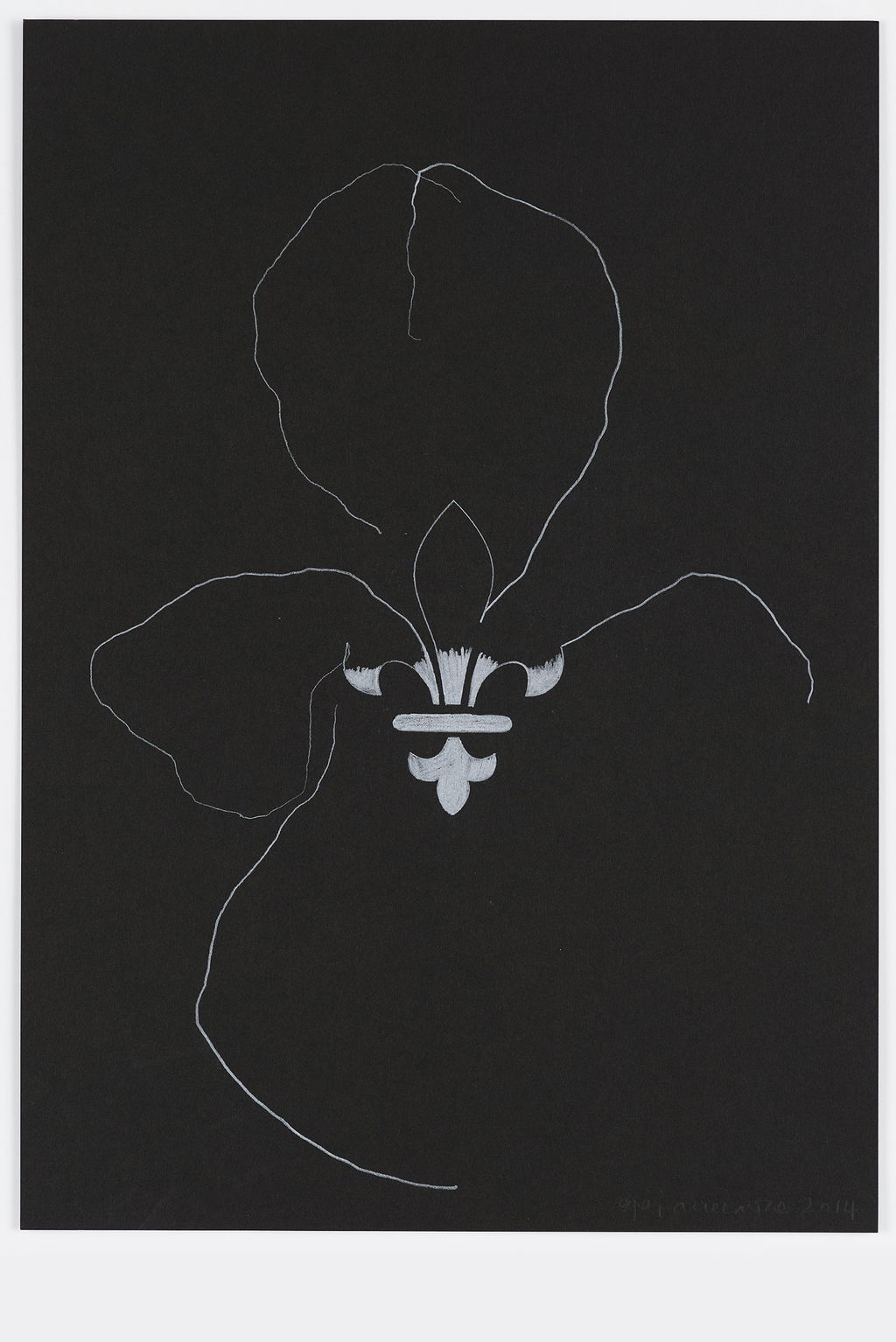 Night Orchid 82 main image