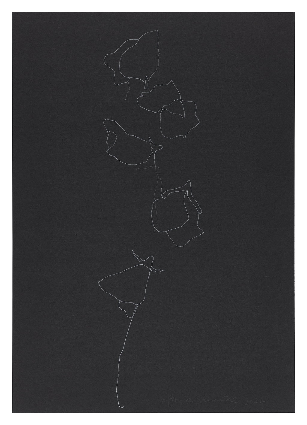 Untitled main image