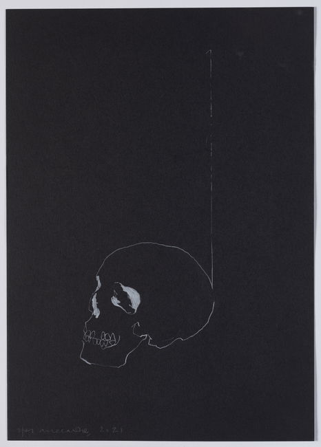 Skull Study main image