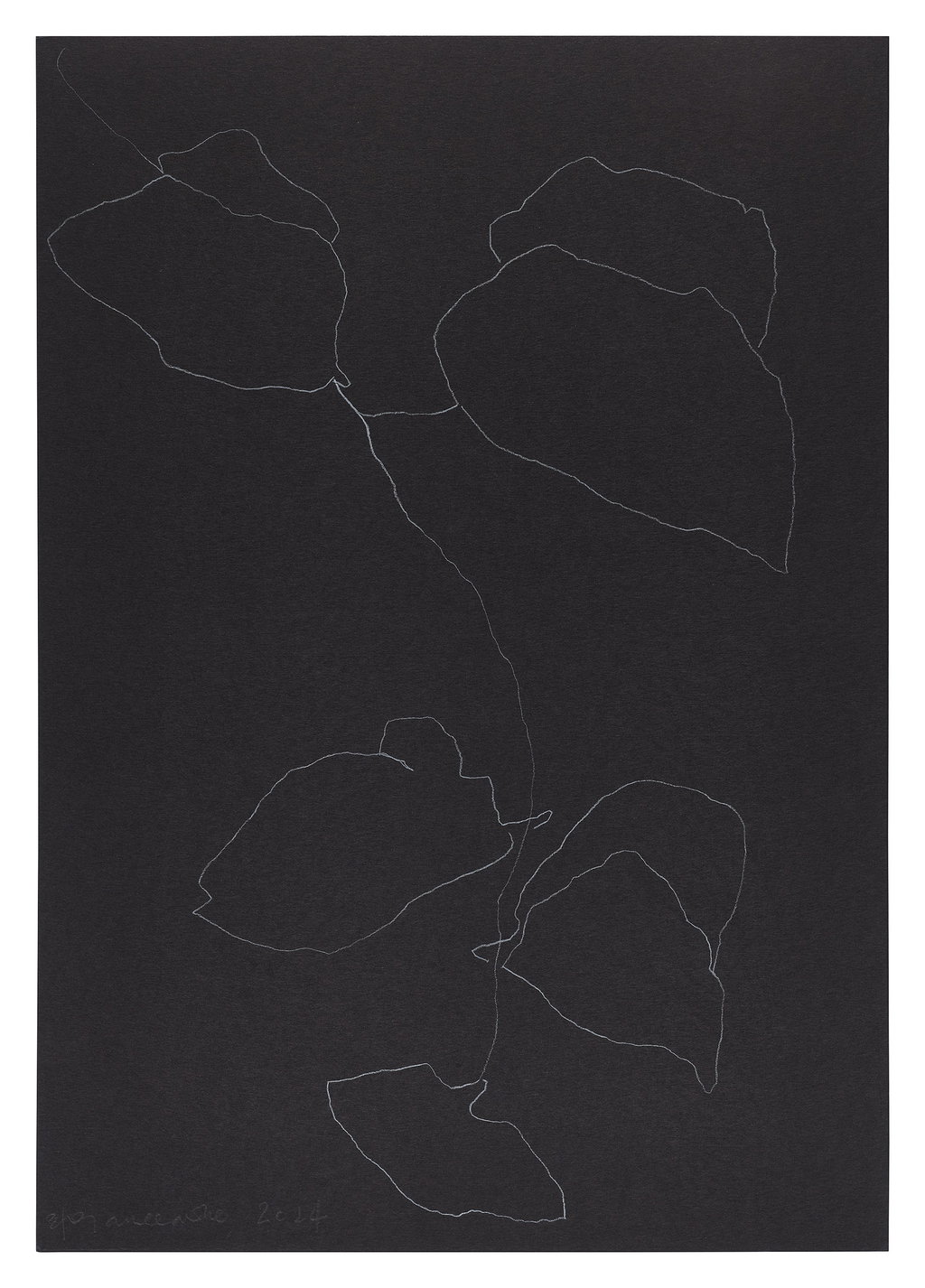 Untitled main image