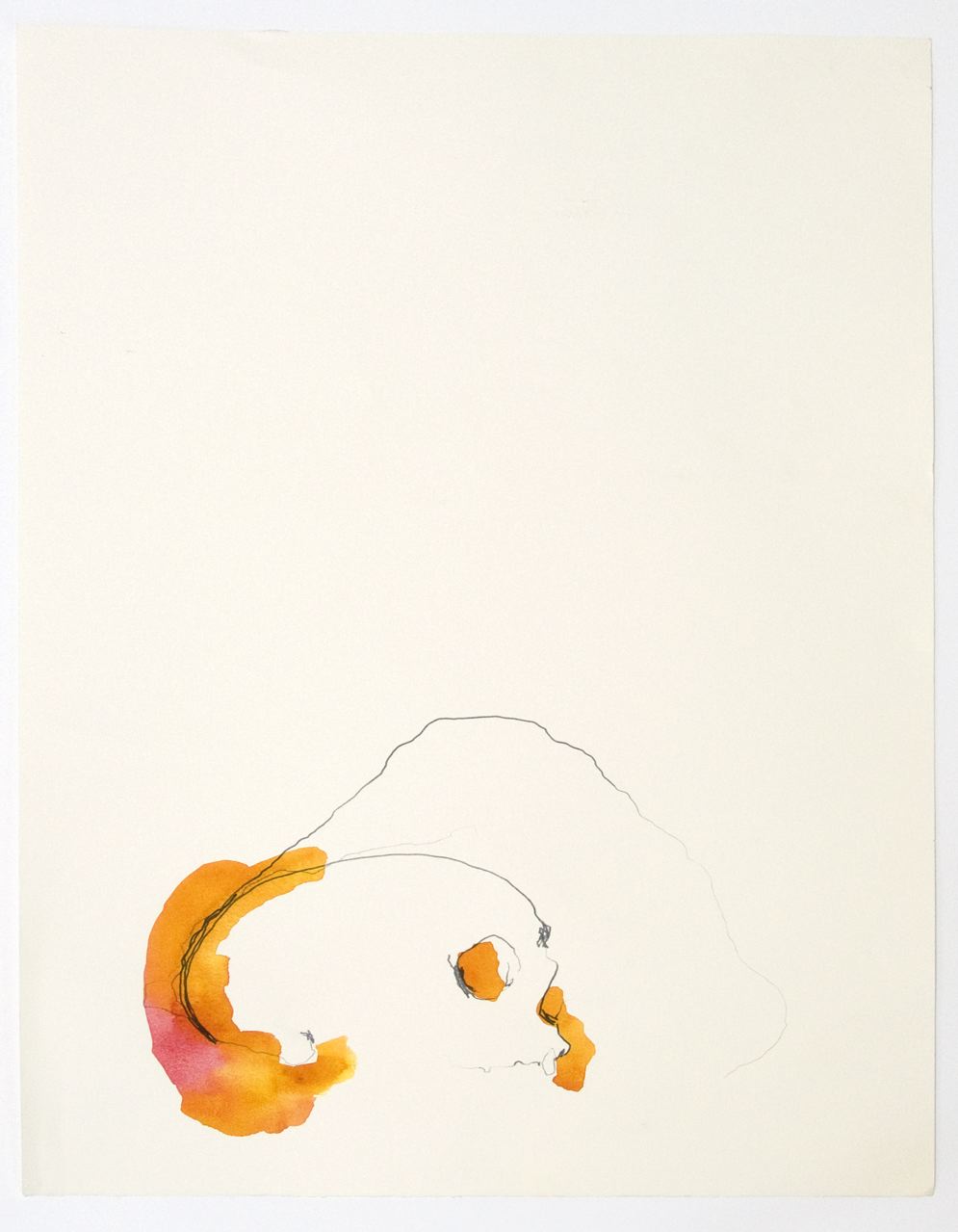 Study for Skull 1 main image