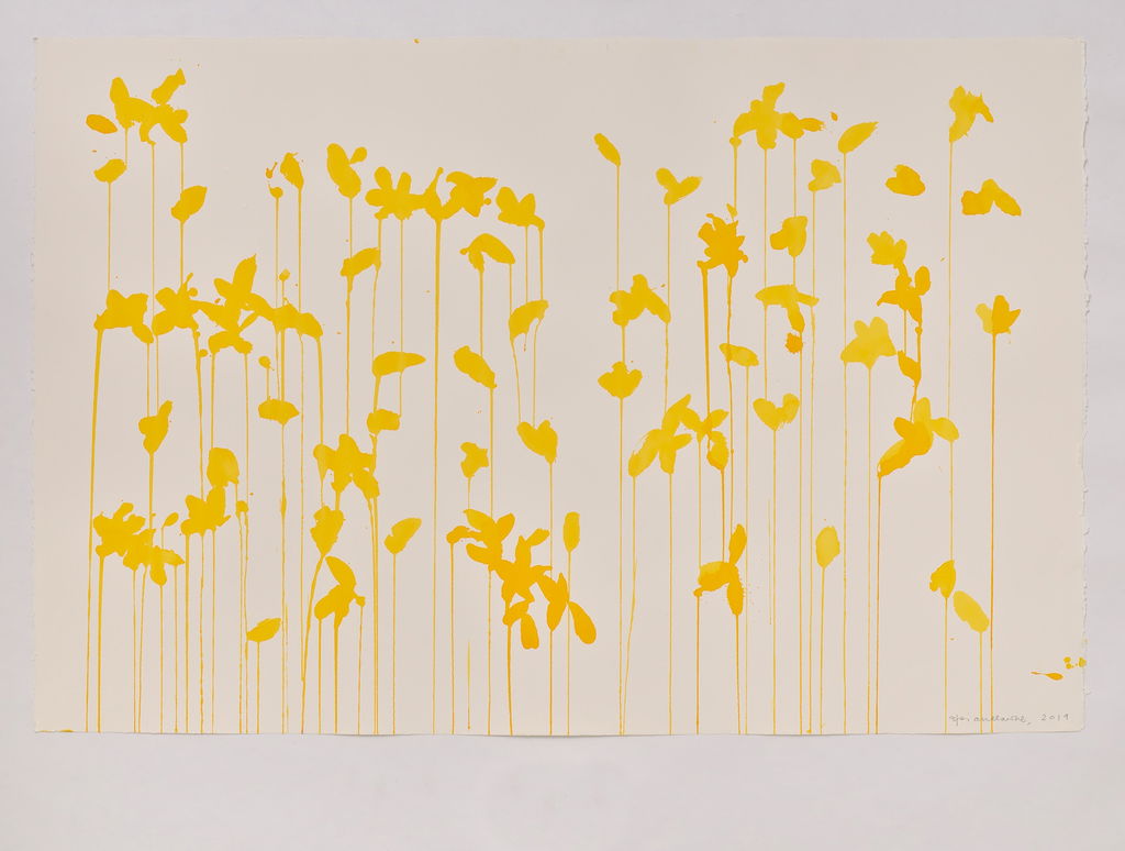 Daffodils main image