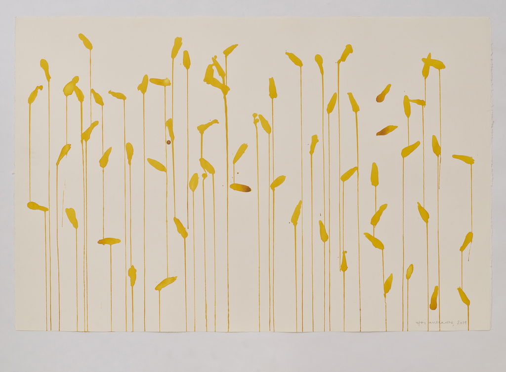 Daffodils main image