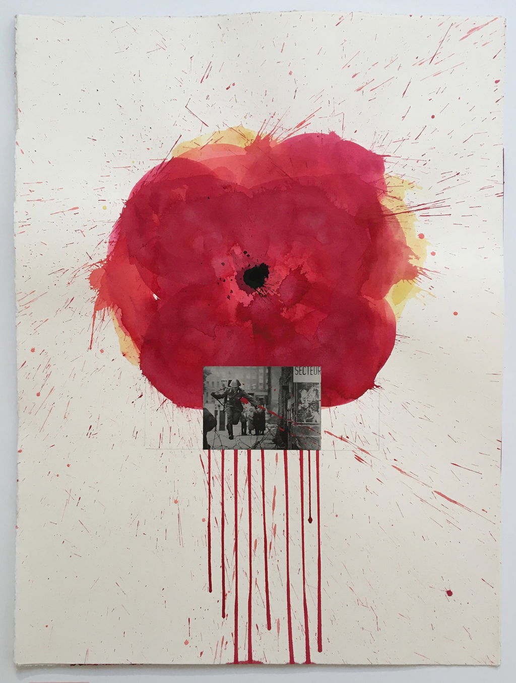 Biographical Poppies main image