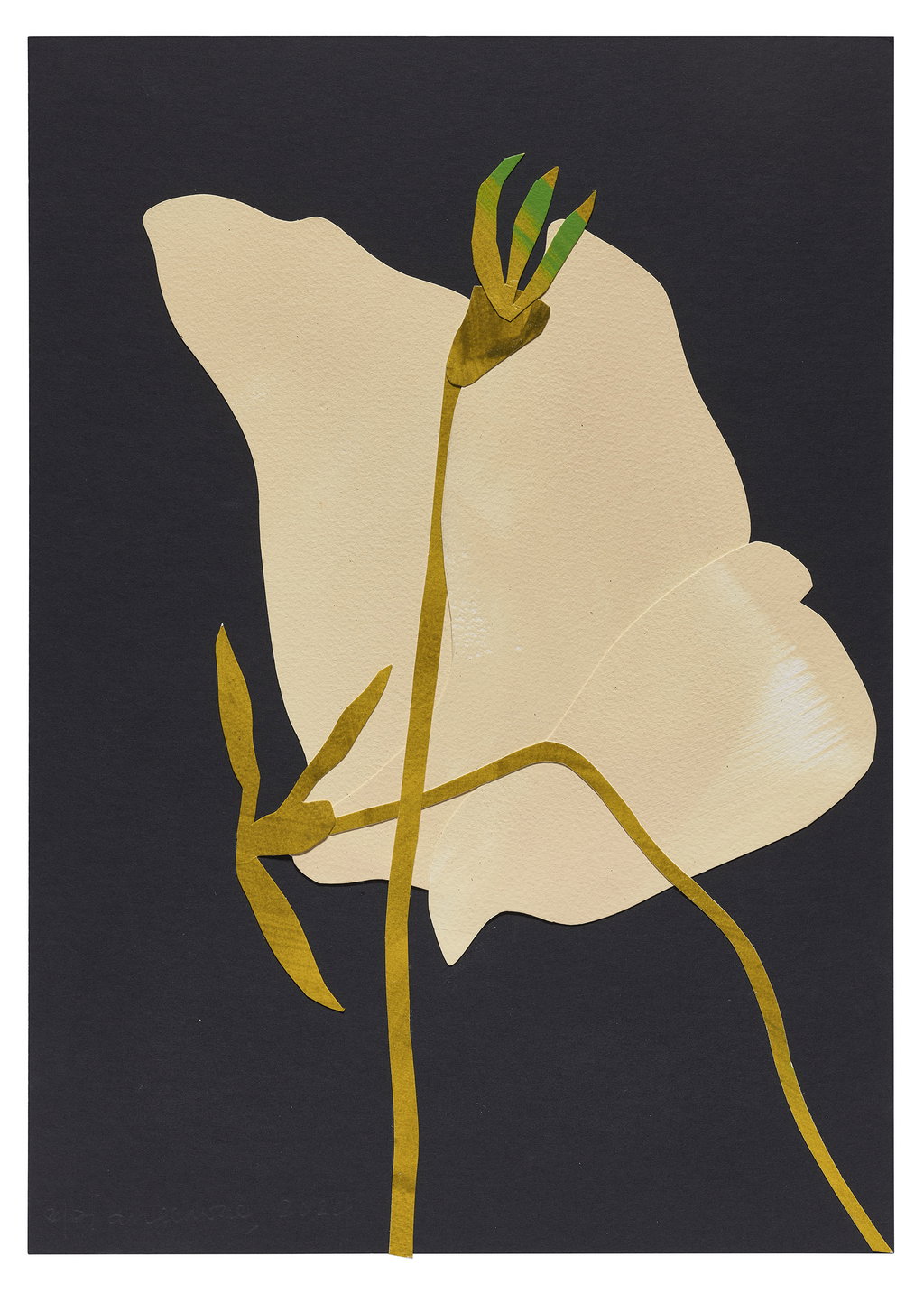 Untitled main image