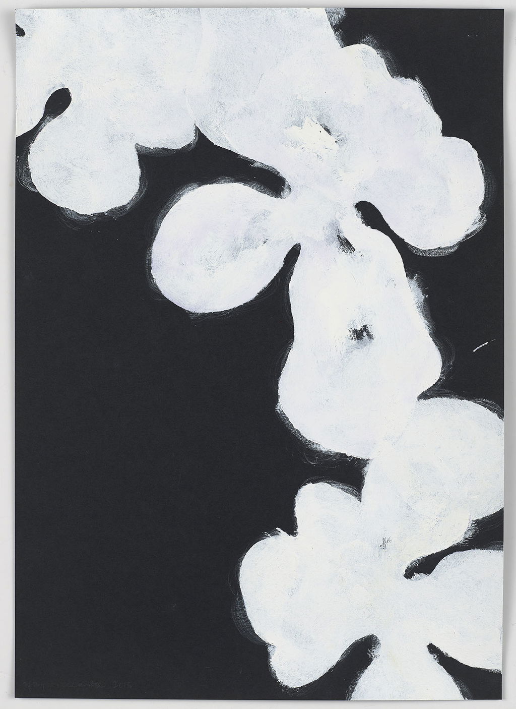 Night Orchid 244 main image