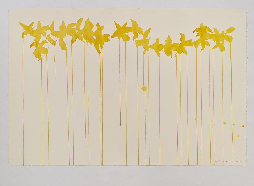Daffodils main image